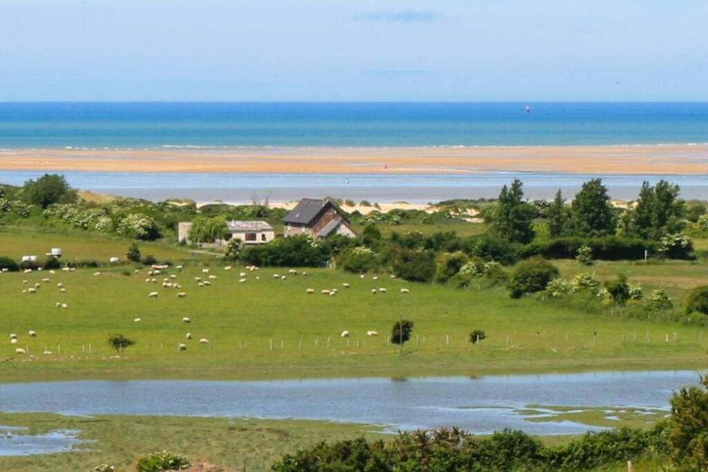 Au Pied Des Dunes, 200m De La *